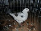 SAM_0765