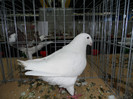 SAM_0771