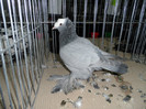 SAM_0772