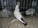 SAM_0773