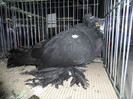 SAM_0792