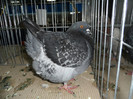 SAM_0802