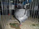 SAM_0805