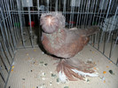 SAM_0807