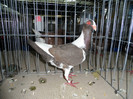 SAM_0840