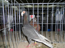 SAM_0841