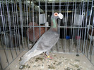 SAM_0842