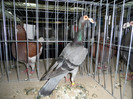 SAM_0843