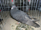 SAM_0844