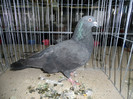 SAM_0846
