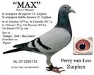 Max-97-2586133