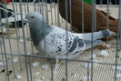 DSC00089