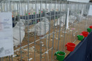DSC00096