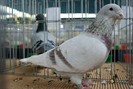 DSC00107