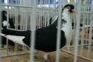 DSC00261