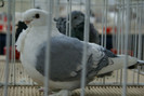 DSC00288