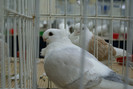DSC00297