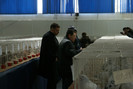 DSC00321