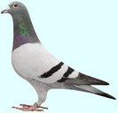 ijzeren as tata lui Iron man