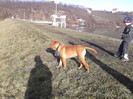 2013-01-21 14.44.27