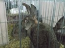 DSCF3476