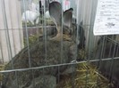 DSCF3477