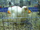 PICT0053