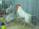 PICT0057