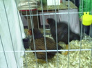 PICT0058