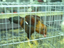 PICT0062