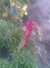 Imag128