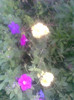 Imag134