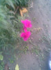 Imag136