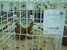 PICT0165
