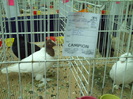 PICT0178