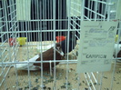 PICT0188