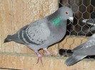 DSCN0352