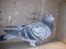 IMG_20130121_203202