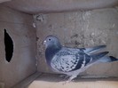 IMG_20130121_203234