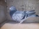 IMG_20130121_203254