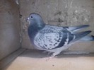IMG_20130121_203307