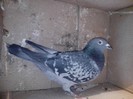 IMG_20130121_203707