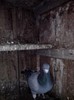 IMG_20130119_165303_01