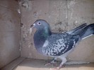 IMG_20130121_203431