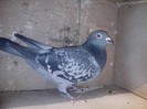 IMG_20130121_203917