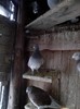 IMG_20130119_165149_01