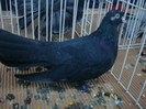 DSC08965