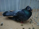 DSC09074