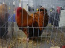 DSC08758
