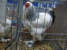 DSC08765